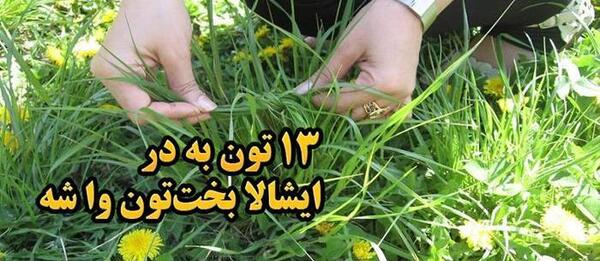 عکس سیزده بدر برای پروفایل