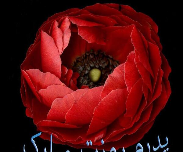 عکس برای پروفایل واتساپ روز پدر
