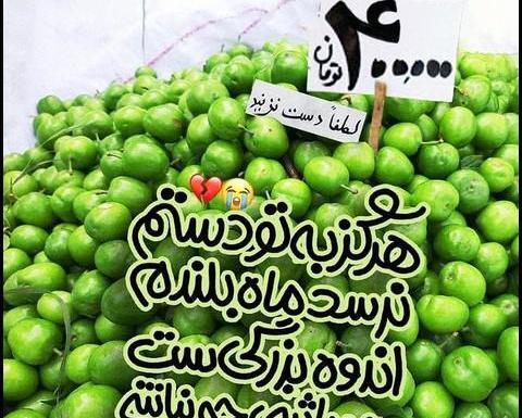 عکس آلوچه سبز با نمک
