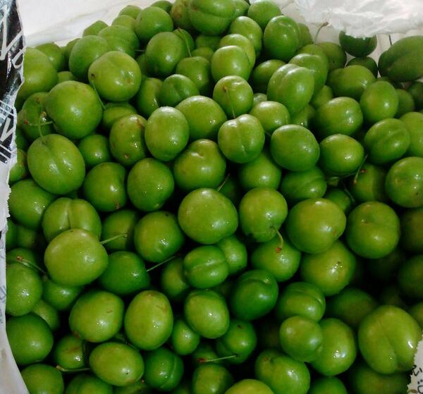 عکس آلوچه سبز با نمک