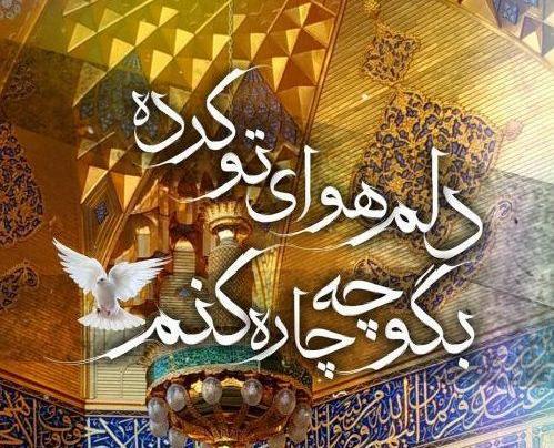 عکس نوشته دلم امام رضا میخواد