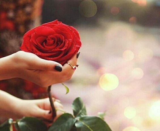 عکس برای پروفایل دخترونه گل