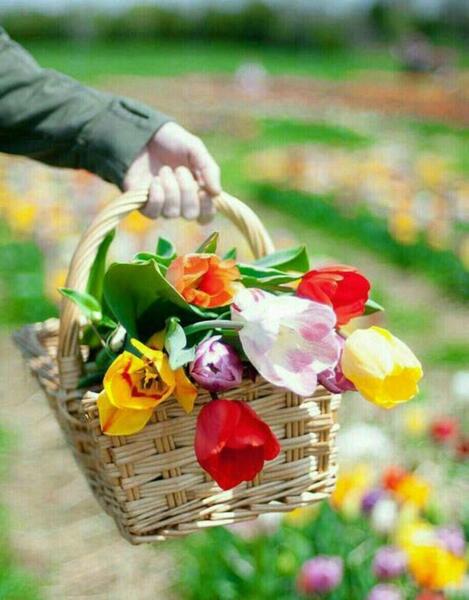 عکس برای پروفایل شاد بدون متن