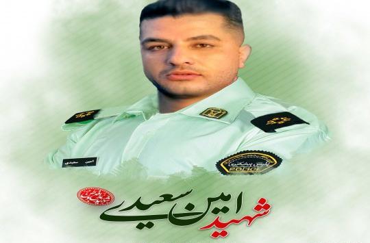 عکس امین سعیدی