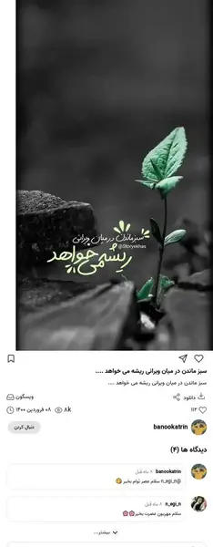 عکس سبز ماندن در میان ویرانی ریشه می خواهد