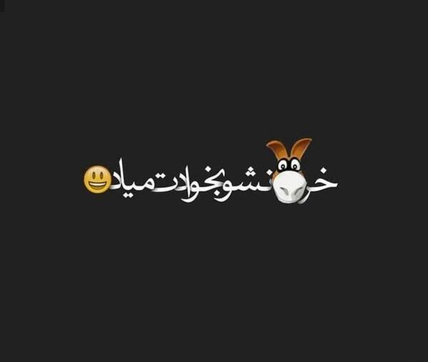 عکس پروفایل شاخ نشو