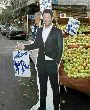 عکس یک گلزار