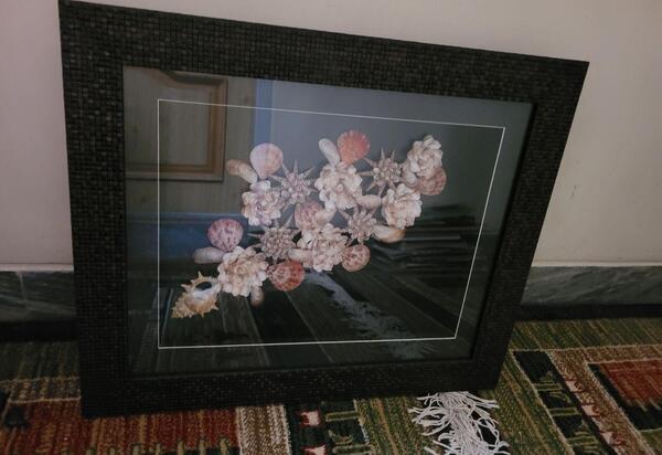 عکس صدف شیرازی