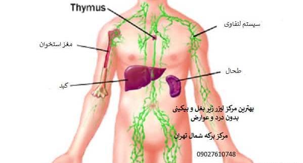 عکس زیر بغل نی نی سایت