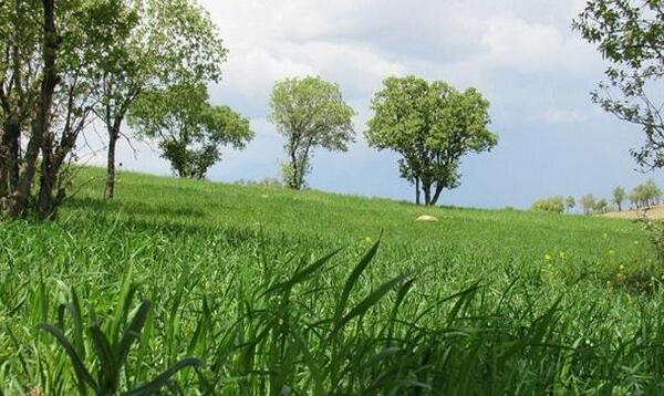 عکس روز در طبیعت