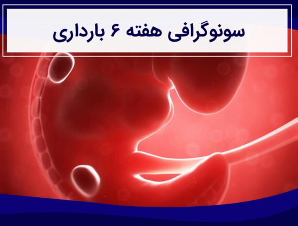 عکس جنین چهل روزه