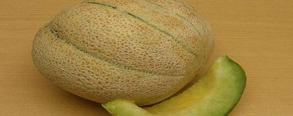 عکس طالبی قرمز