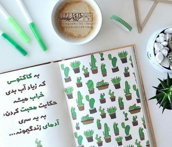 عکس کاکتوس پروفایل