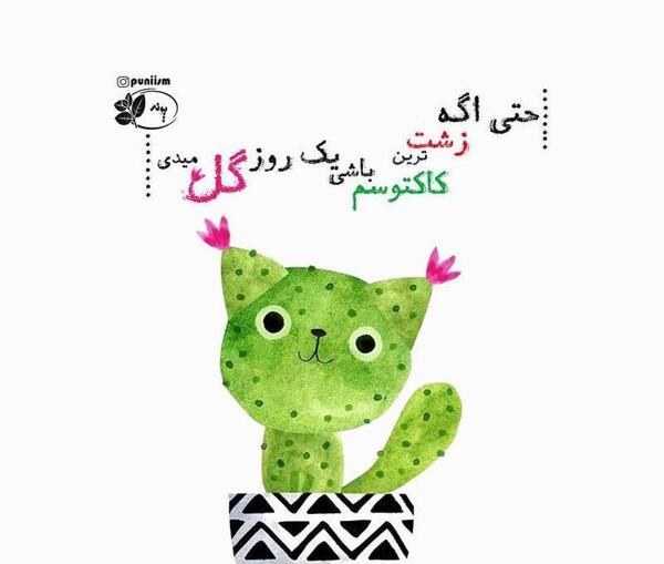 عکس کاکتوس پروفایل