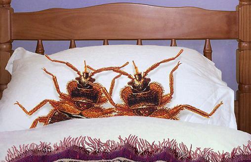 عکس خواب ترسناک