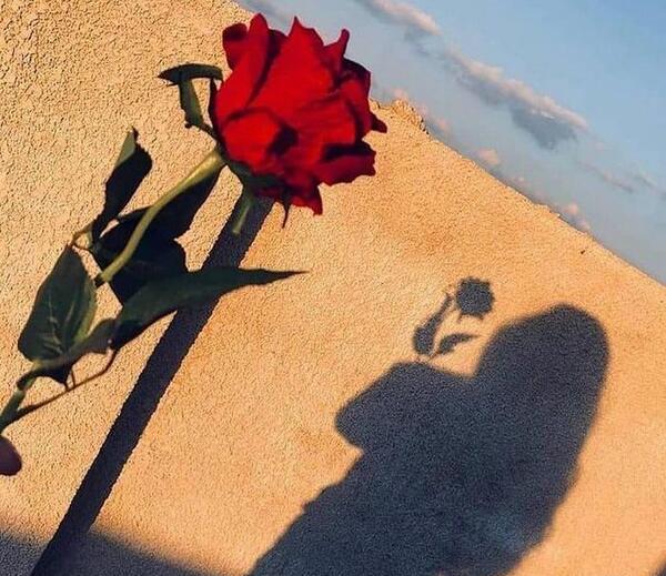 عکس های قشنگ برای پروفایل واتساپ