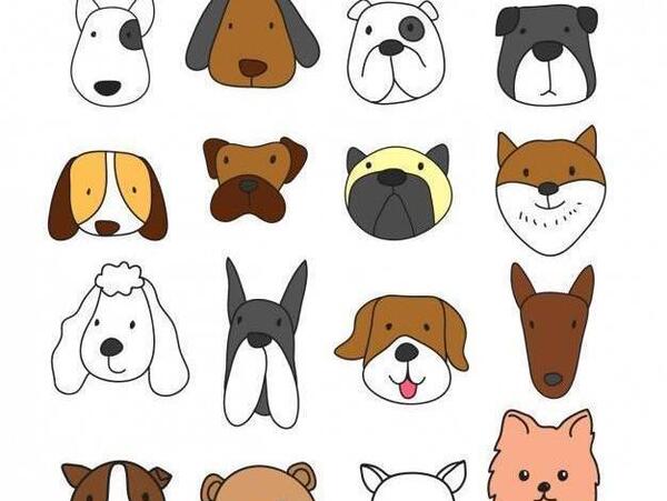 عکس سگ صورت