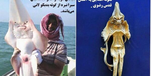 عکس ماهی شیطان ماسه ای