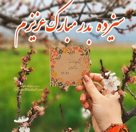 عکس سیزده بدر در خانه بمانیم