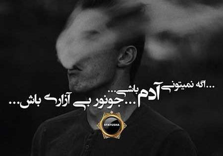 عکس پروفایل شاخ اینستاگرام
