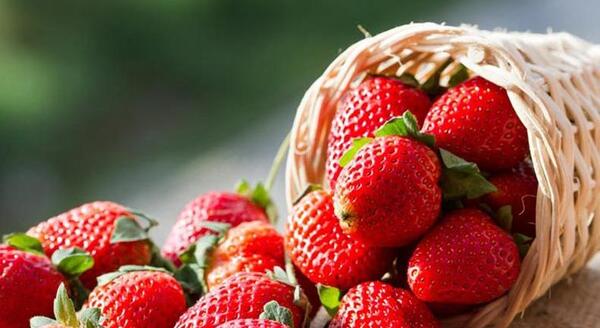 عکس قرمز توت فرنگی