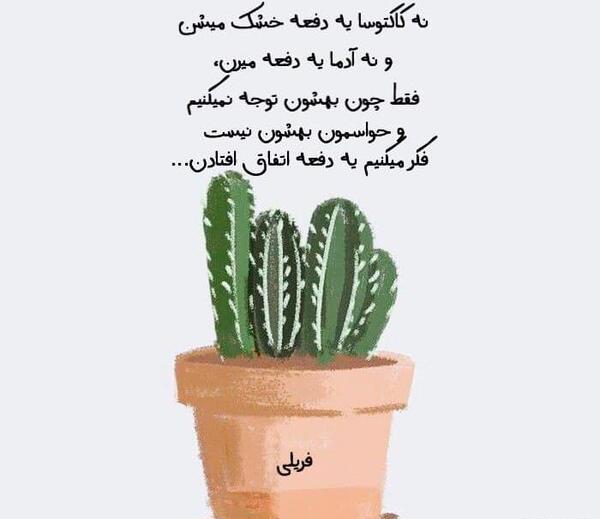 عکس کاکتوس غمگین