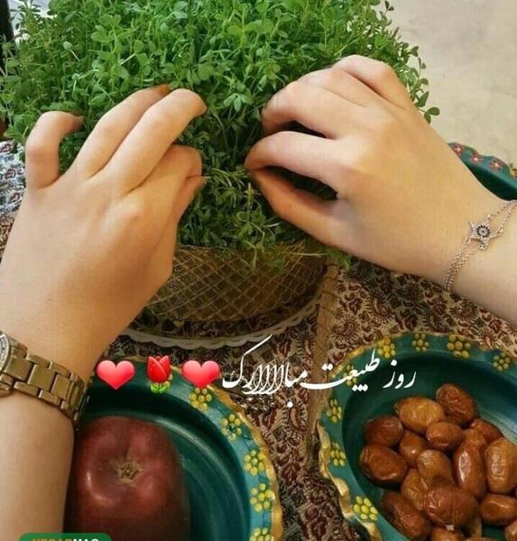 عکس های 13 بدر