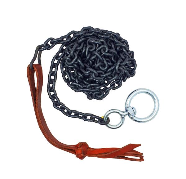 عکس زنجیر سگ سرابی