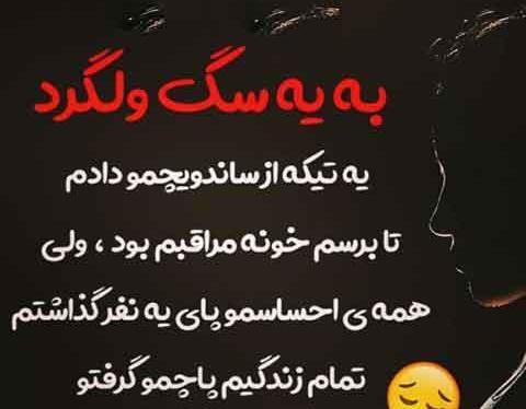 عکس پروفایل شاخ نوشته