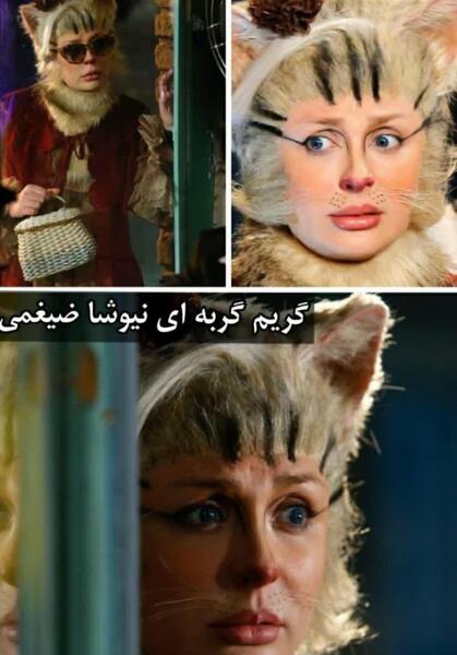 عکس گربه عمو پورنگ