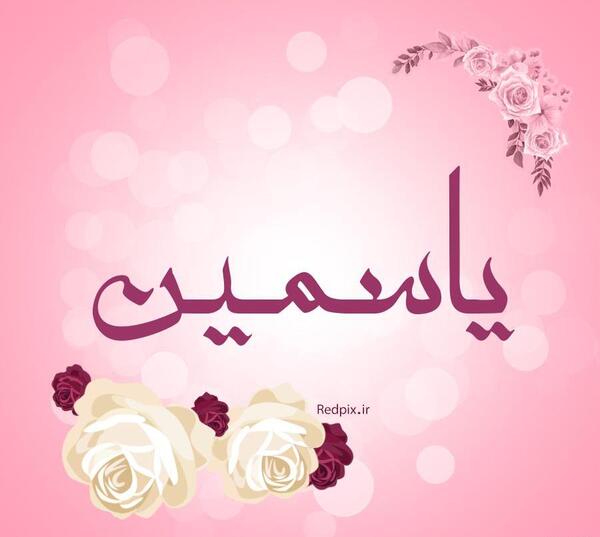 عکس یاسمین