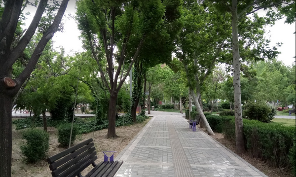 عکس پارک گلزار