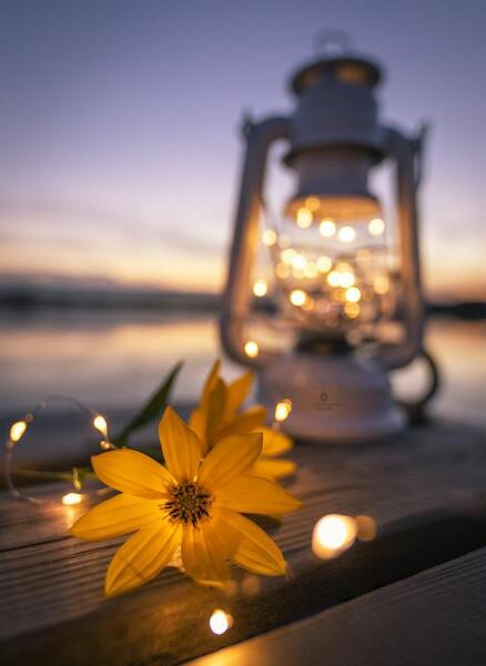 عکس پروفایل ساده و شیک