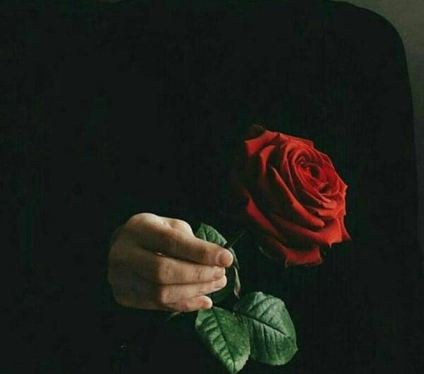 عکس پروفایل شاخه گل
