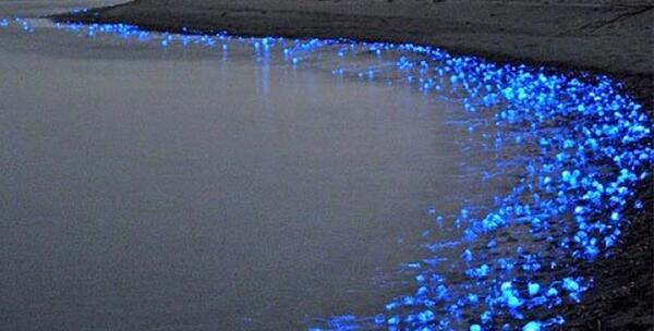 عکس شب شمال