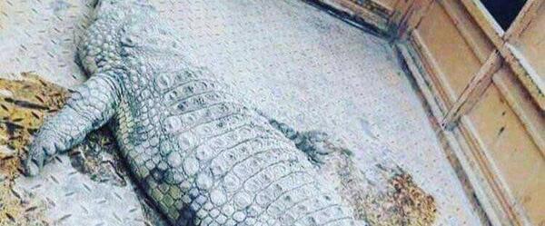 عکس اروند رود آبادان