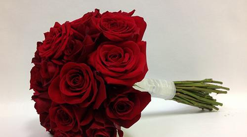 عکس قرمز رویایی