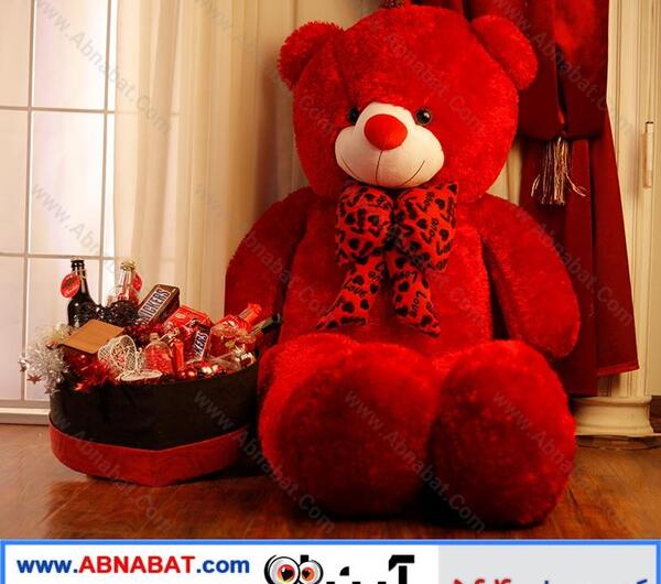 عکس خرس عروسک قرمز