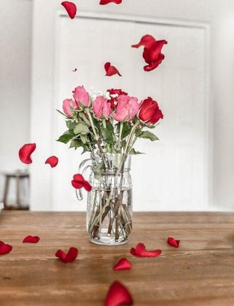 عکس آبی و زرد