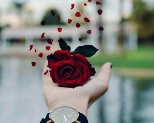 عکس قشنگ برای پروفایل اینستا