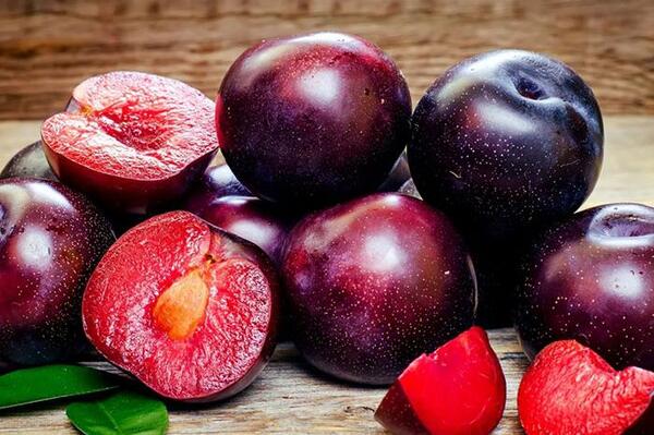 عکس آلوچه قرمز