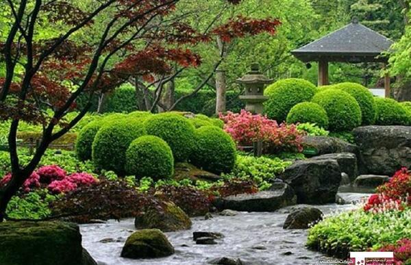 عکس فضای سبز