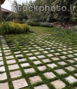عکس فضای سبز