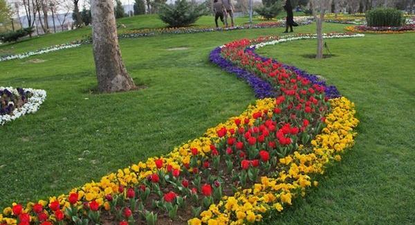 عکس فضای سبز