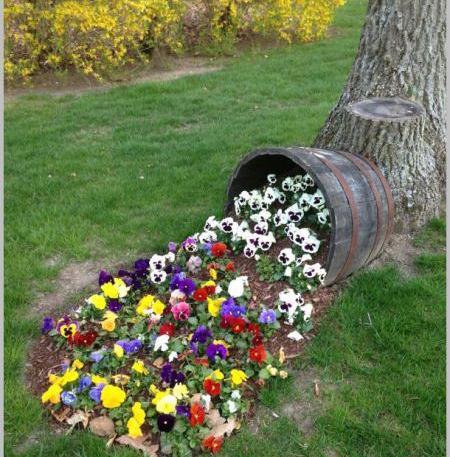 عکس فضای سبز