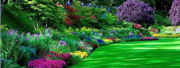 عکس فضای سبز