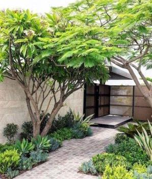 عکس فضای سبز