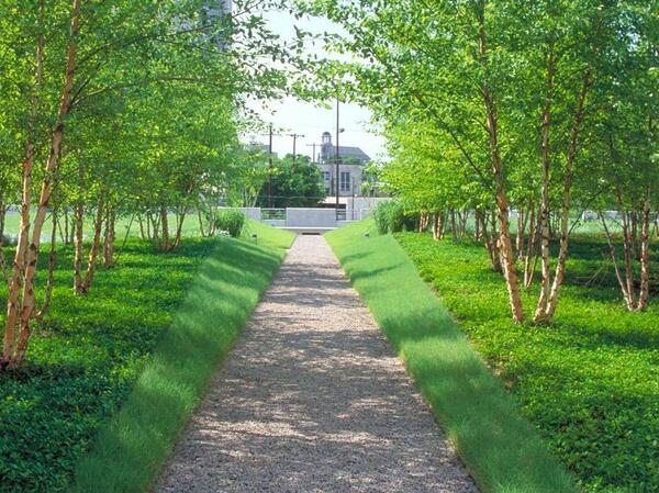 عکس فضای سبز