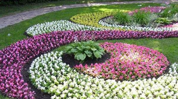عکس فضای سبز