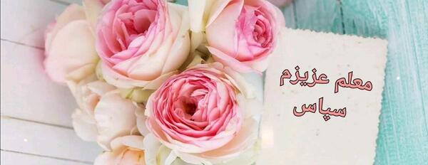عکس خانم معلم خسته نباشید